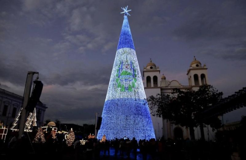 Вижте някои от най-красивите коледни елхи по света