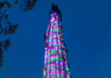 Къде е най-голямото коледно дърво в света