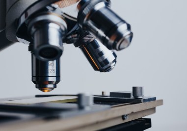 Най-големите научни открития за годината