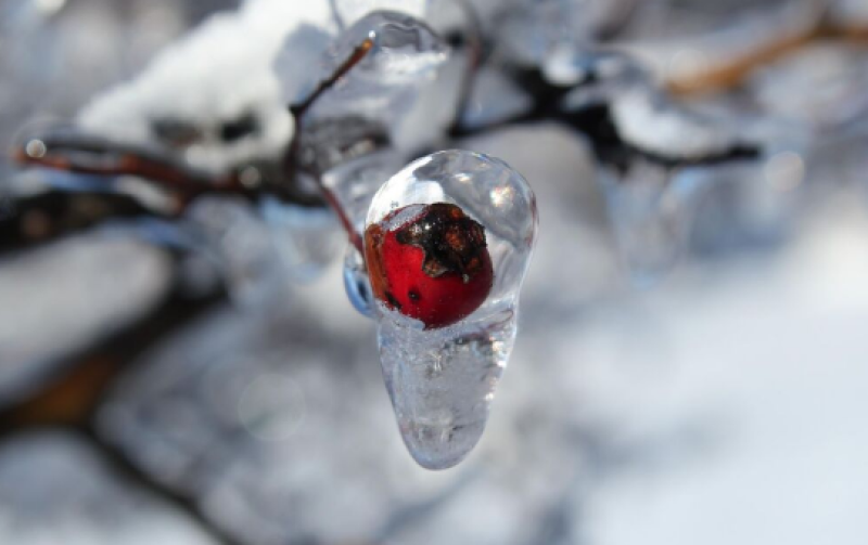 Проф. Рачев: Идват ледени дни