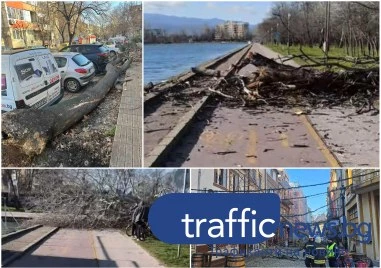 Критично положение в Пловдив: Огромни дървета падат в целия град заради силния вятър