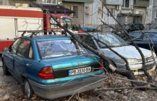 90 сигнала за паднали дървета заради силния вятър в Плоавдивско