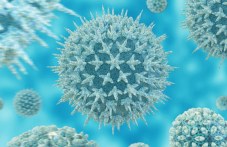 Празници без болести -  съвети за добър имунитет