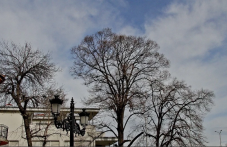 Жълт код за силен вятър и утре