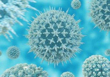 Празници без болести -  съвети за добър имунитет