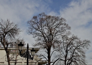 Жълт код за силен вятър и утре