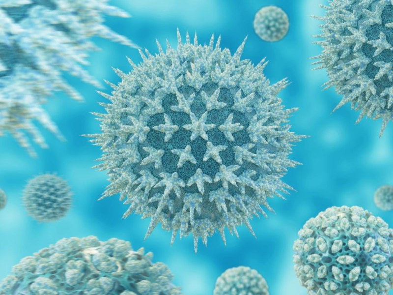 Празници без болести -  съвети за добър имунитет