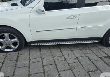 И село Устина посрещна Нова година без ток, нарязаха гумите на кметицата СНИМКИ