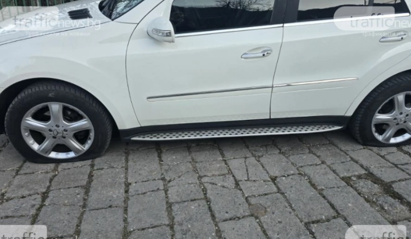 И село Устина посрещна Нова година без ток, нарязаха гумите на кметицата СНИМКИ