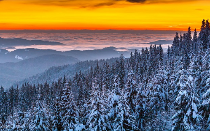 Температурна аномалия в Родопите - студ в ниското, по-топло във високите части