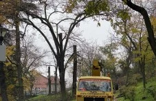 Единственият арборист в Пловдив пред TrafficNews: Предложих на Общината да отстранявам безплатно опасни клони, но ми отказаха