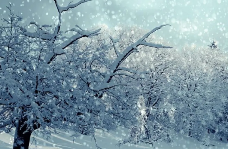 Студ скова Европа! Има жертви, отмениха стотици полети