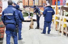 Куче на ГДБОП е първото у нас, обучено да открива фалшиви банкноти