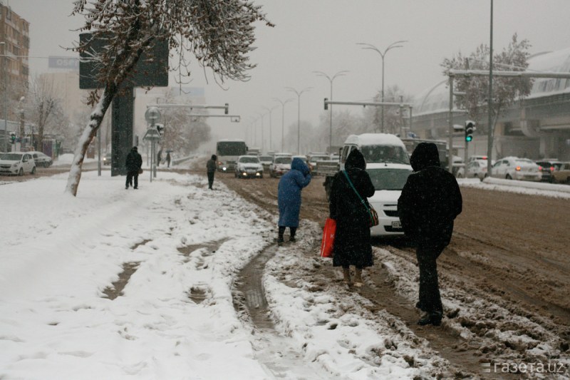 Проф. Рачев: През следващите 48 часа ни очаква цялата „палитра“ на зимата