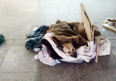 Бездомен мъж и кучето му трогнаха пловдивчани