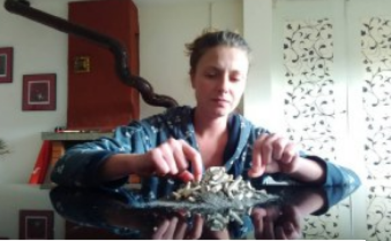 Кристина Вътова показва “Сливане“ в Пловдив