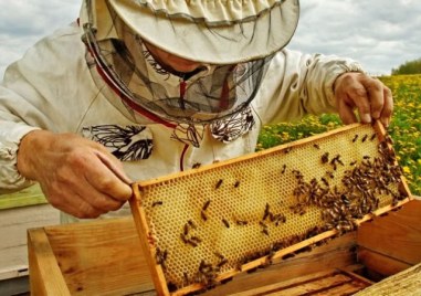 Глад за кадри: Държавата разширява списъка със защитените професии