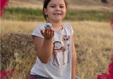 Зов за помощ: Малката Зара от Пловдив има нужда от спешна операция