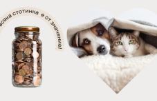 Дари ненужните си стотинки и спаси живот