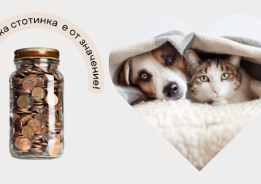 Дари ненужните си стотинки и спаси живот