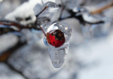 Предимно слънчев, но студен понеделник в Пловдив