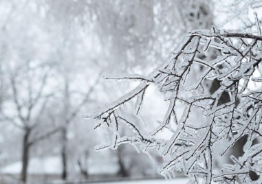 Проф. Рачев: Леденият студ постепенно започва да отстъпва