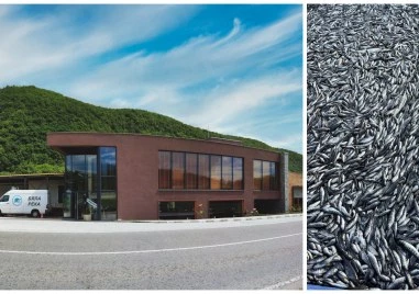 Собственикът на “Бяла река“: Рибата ни беше изтровена, това е икономически тероризъм