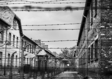 На този ден: Освободен е концлагерът Аушвиц