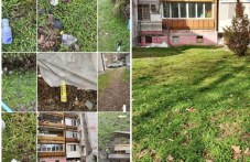 Пловдивчни недоволстват от замърсени площи край саниран блок, светкавична реакция на „Градини и паркове“