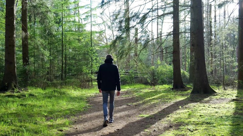 Само 5 минути физическа активност на ден могат да удължат живота