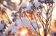 Какво време да очакваме през февруари