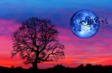 Кървава луна, суперлуна и затъмнения - годината ще е рай за любителите фотографията