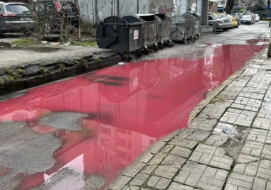 Червени локви притесниха хората в централен пловдивски квартал