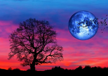 Кървава луна, суперлуна и затъмнения - годината ще е рай за любителите фотографията