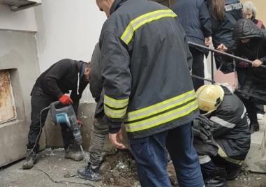 Строители зазидаха живо коте в стена у нас