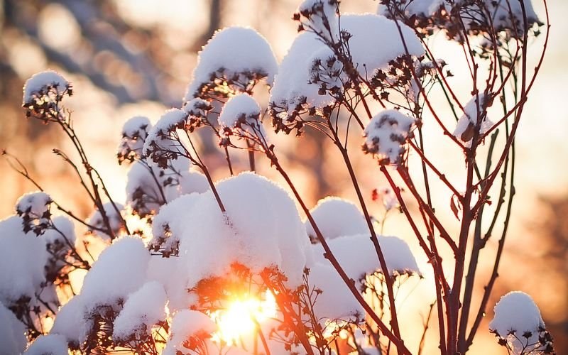 Какво време да очакваме през февруари