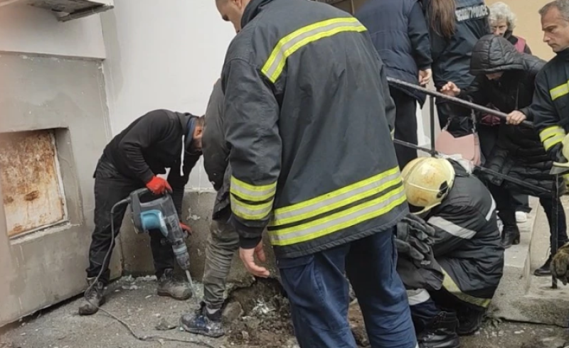 Строители зазидаха живо коте в стена у нас