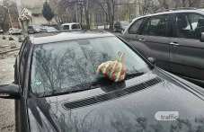 Торбичка с боклуци се озова върху кола, блокирала алея за пешеходци