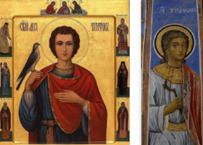 Свети мъченик Трифон почитаме днес