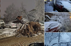 Десетки паднали дървета в Пловдив, има премазани коли