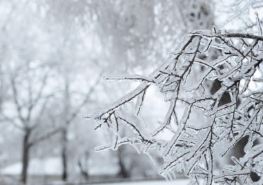 Обявиха жълт код за студено време