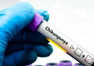 Нов случай на болестта чикунгуня е регистриран у нас