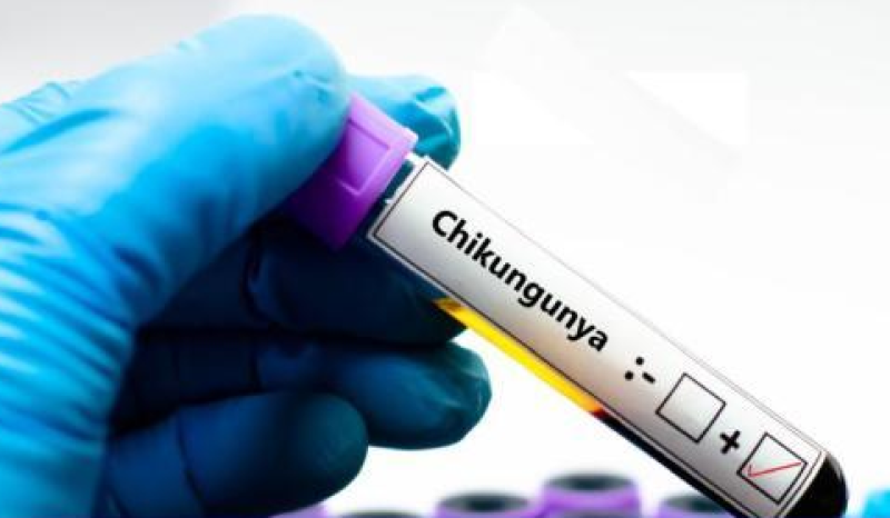 Нов случай на болестта чикунгуня е регистриран у нас