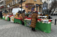 Пчеларите в Пловдив: Няма да вдигаме цените на меда ВИДЕО