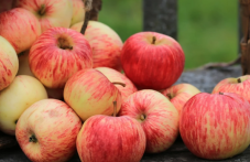 Ябълките - суперхрана, с много ползи за теглото, сърцето, мозъка и имунитета