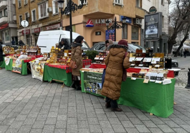 Пчеларите в Пловдив: Няма да вдигаме цените на меда ВИДЕО