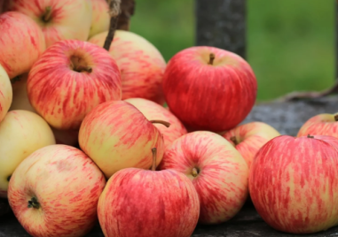 Ябълките - суперхрана, с много ползи за теглото, сърцето, мозъка и имунитета