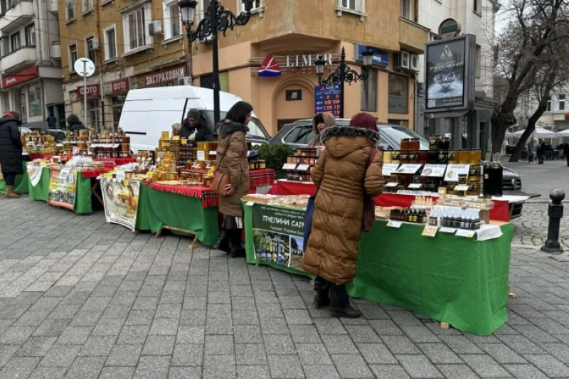 Пчеларите в Пловдив: Няма да вдигаме цените на меда ВИДЕО