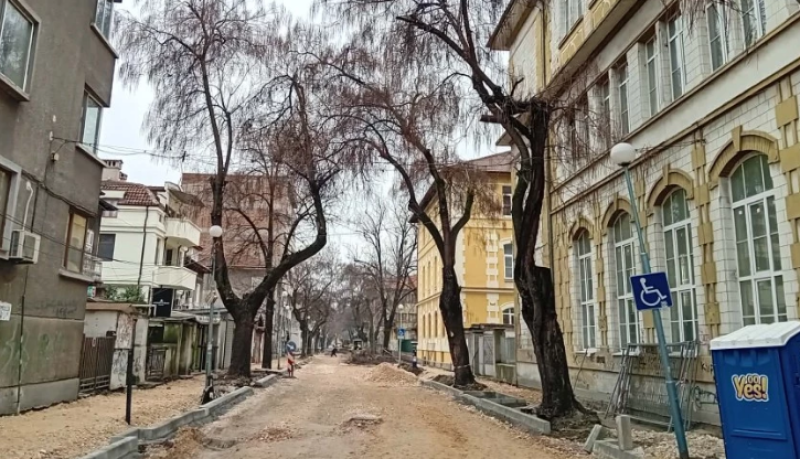 След обследване: Премахват старите дървета по улица в центъра на Пловдив, засаждат двойно повече