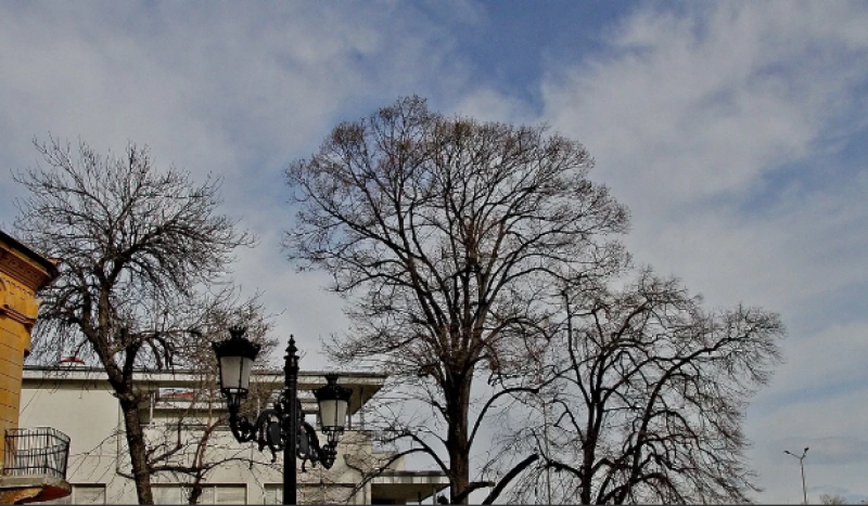 Обявиха оранжев код силен вятър в Пловдив утре